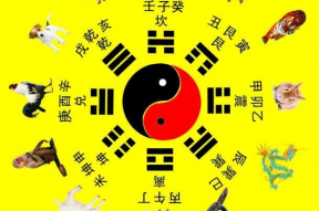 八卦对应属相,探寻十二生肖背后的神秘力量