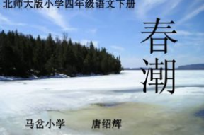 《春潮》的资料,探寻春潮中的时代变迁与青春梦想