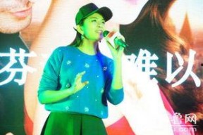 九龙城明星