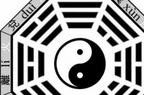 大人八卦,大人八卦背后的真相与秘密