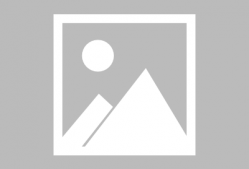 神探杨金邦演员表,众星云集，揭秘悬疑侦探剧演员阵容