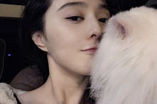 猫嘴的明星