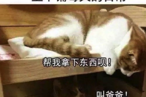 大学搞笑图片,那些让人捧腹大笑的搞笑图片集锦