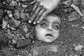 凄惨图片,揭示生命无常的凄美画卷