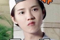 怼鹿晗的表情包,笑翻网友的“怼脸”瞬间