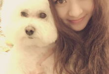 明星和宠物的合照