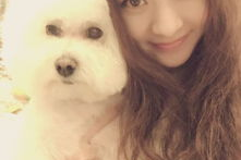 明星和宠物的合照