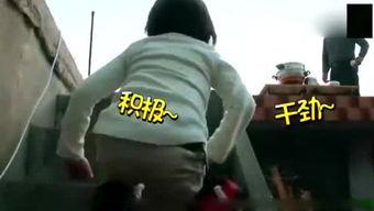 吃瓜小白瞧娱乐