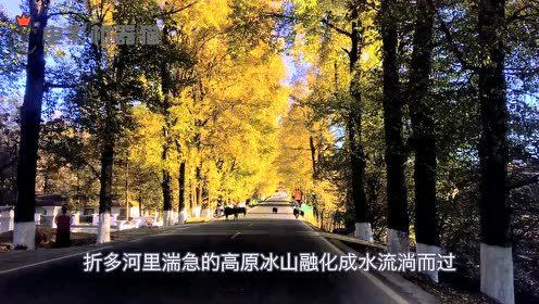 娱乐吃瓜君地址,探寻娱乐圈幕后故事